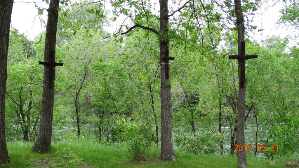 dsc01674.jpg
