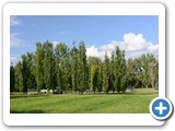 ABGF_8837